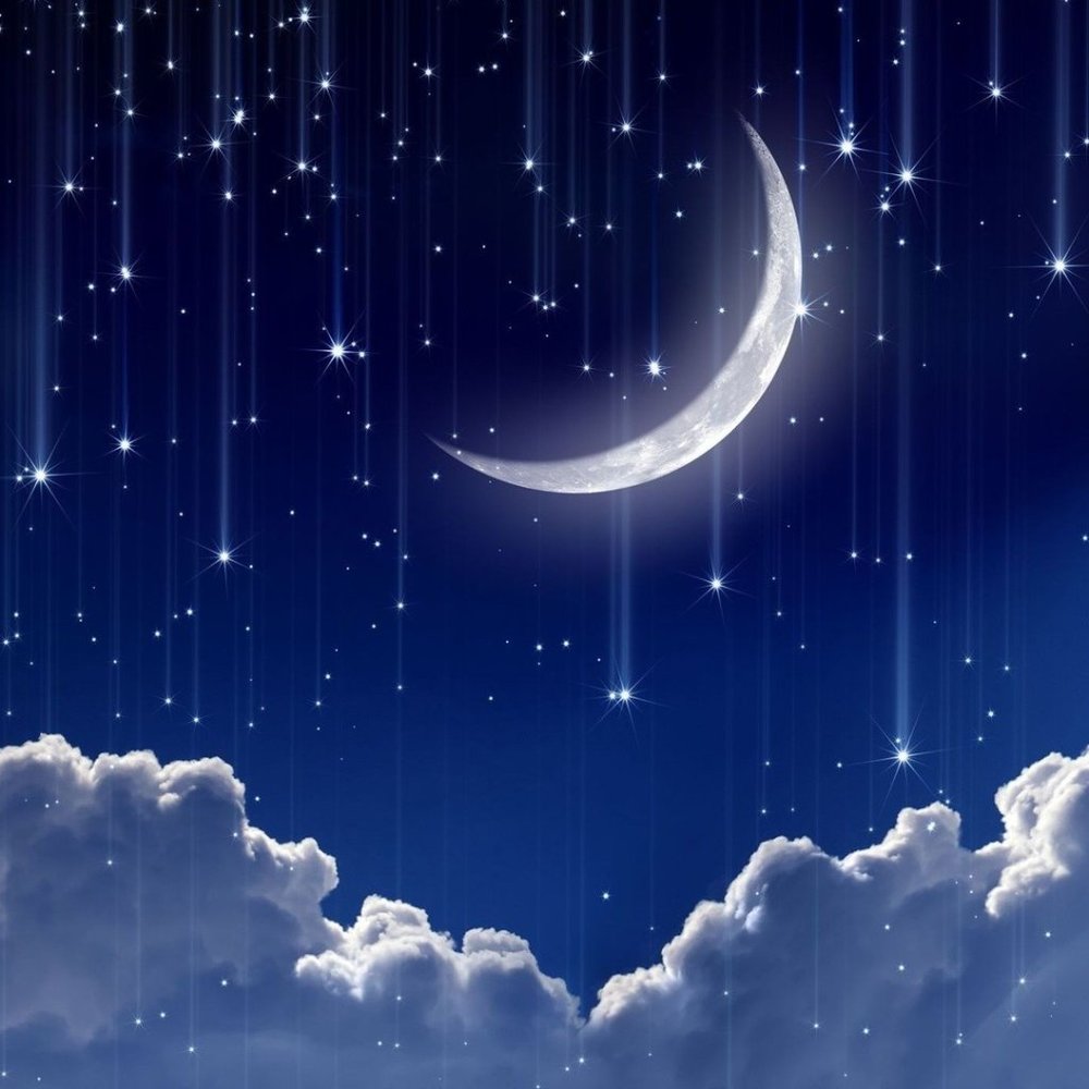 Meet your Posher, Emerson jay